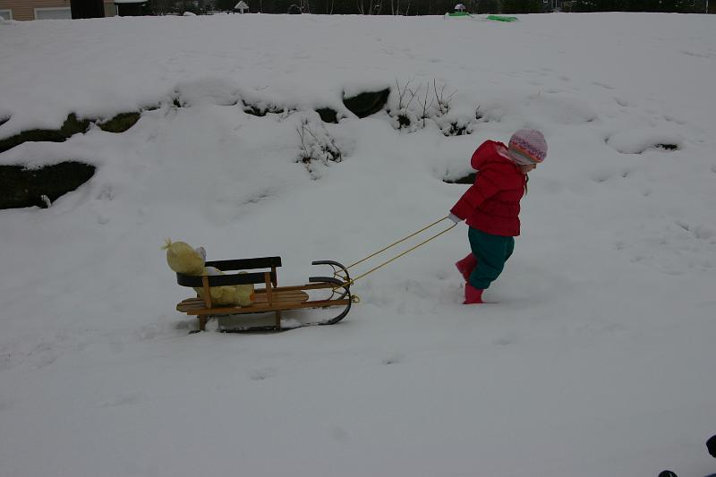 Picture 2791.jpg